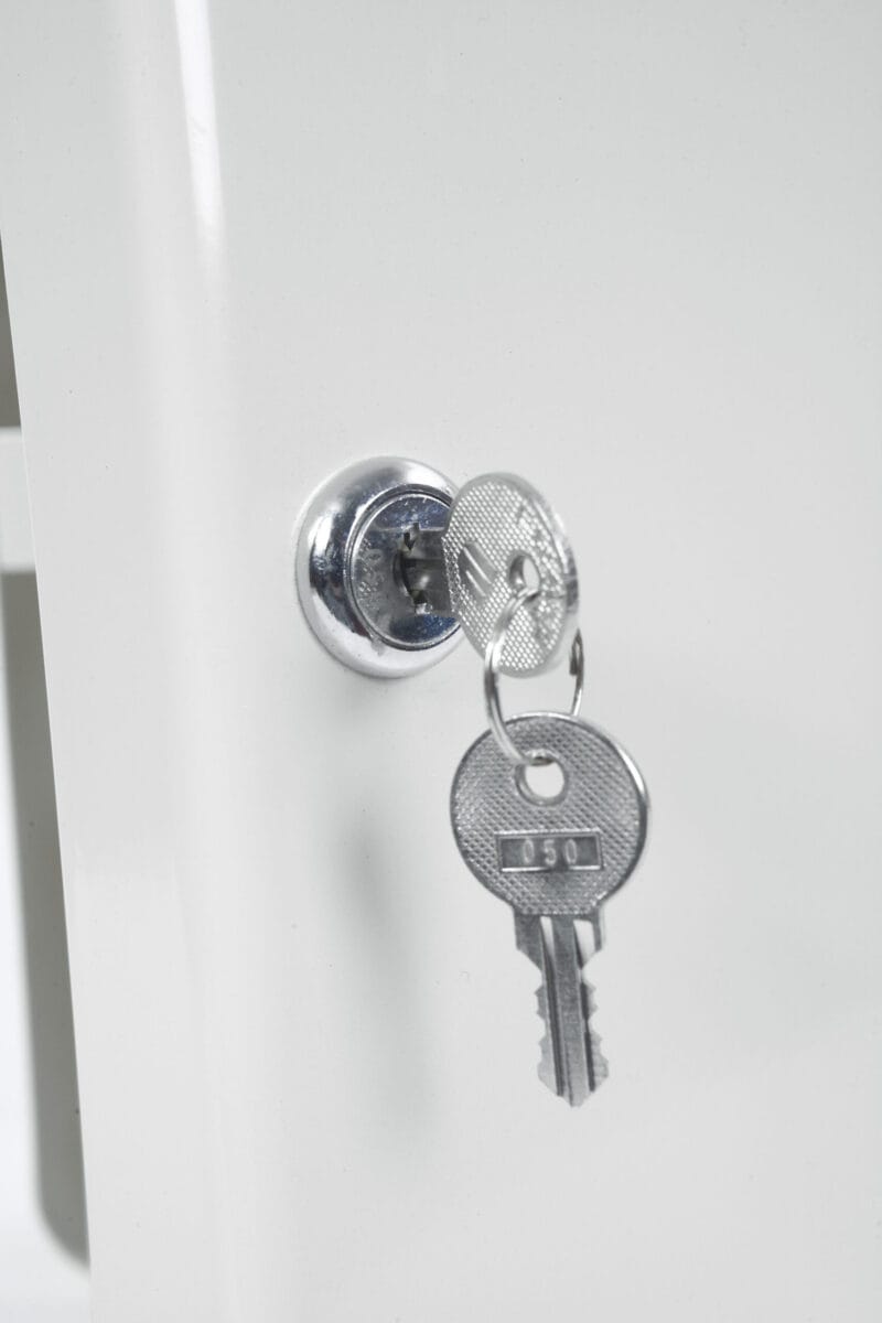 Phoenix Key Box - Image 4